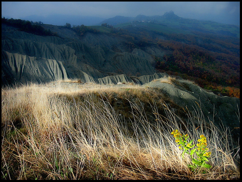 appennino reggiano